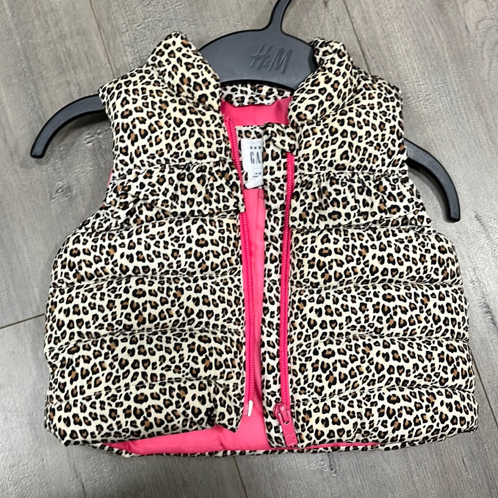 Vest